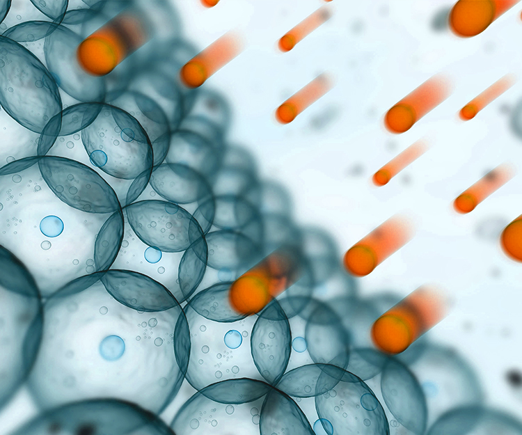 Оксидативный стресс и старение кожи